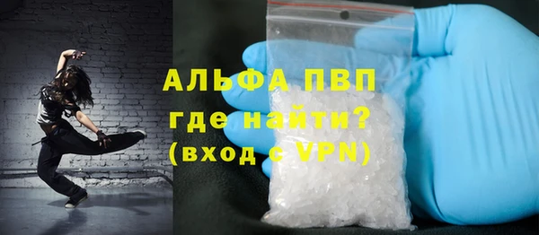 стафф Алексин