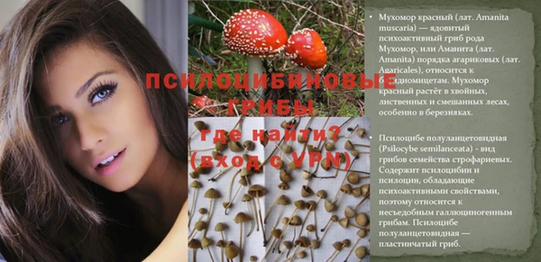 соль курить ск Алексеевка