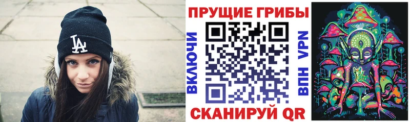 Псилоцибиновые грибы мицелий  продажа наркотиков  Ковдор 